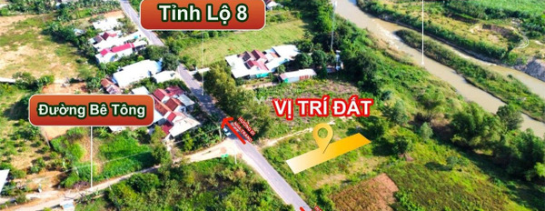 Tỉnh Lộ 8, Diên Xuân 1.15 tỷ bán đất diện tích mặt tiền 174.9m2-03