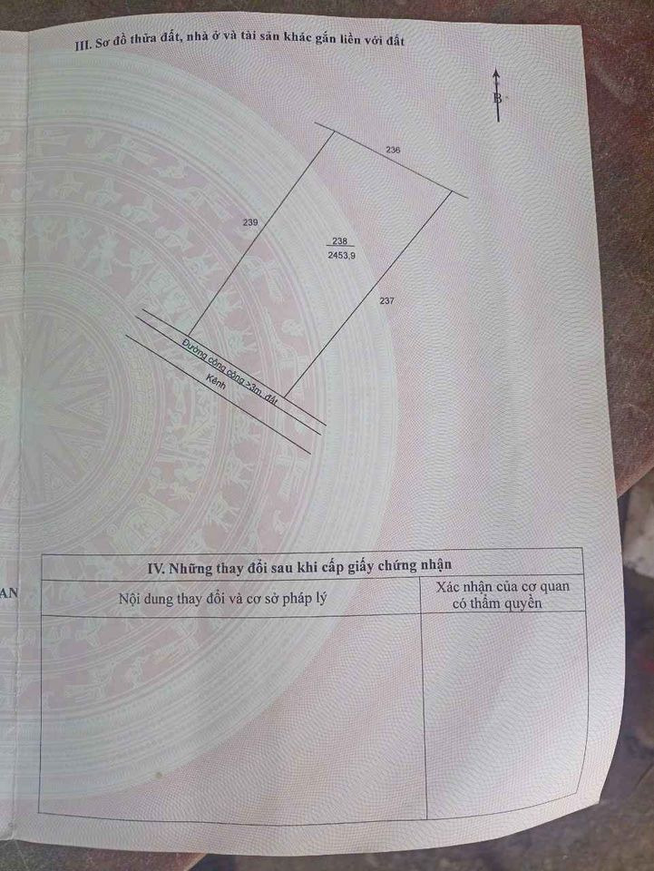 Bán đất huyện Bình Chánh thành phố Hồ Chí Minh giá 600.0 triệu-5