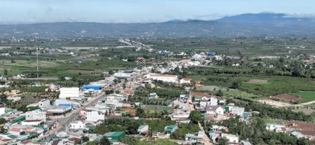 Lộc Tân, Lâm Đồng bán đất giá mềm từ 750 triệu, hướng Đông - Nam có diện tích khoảng 100m2