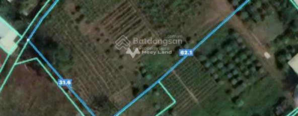 Bán đất 12 tỷ Tân Hạnh, Biên Hòa diện tích tổng 4000m2-03