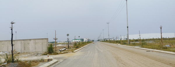 Bán 15ha đất và nhà xưởng trong KCN Lai Vu, mặt Quốc lộ 5, đất trả tiền 1 lần, giá 50usd/m2-03