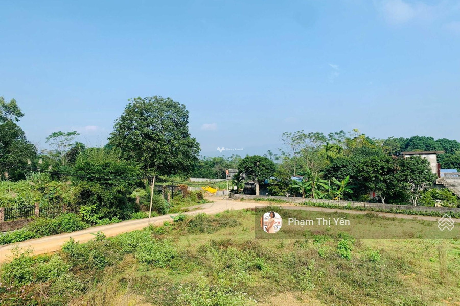 Bán mảnh đất diện tích 2736m2 tại Cao Sơn, Lương Sơn-01