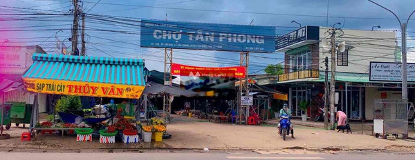 Gấp bán mảnh đất, 182m2 giá khủng 490 triệu mặt tiền nằm ngay ở Tân Phong, Tân Biên, hướng Nam khách có thiện chí liên hệ ngay-02