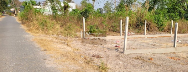 Xóm Mới, Thanh Phước bán đất giá bán siêu khủng 850 triệu có diện tích trung bình 250m2-03