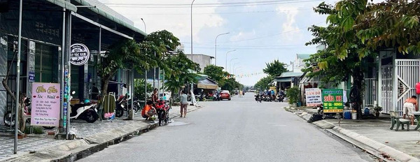 Cần bán đất huyện Bắc Tân Uyên, Bình Dương giá 2,2 tỷ-02