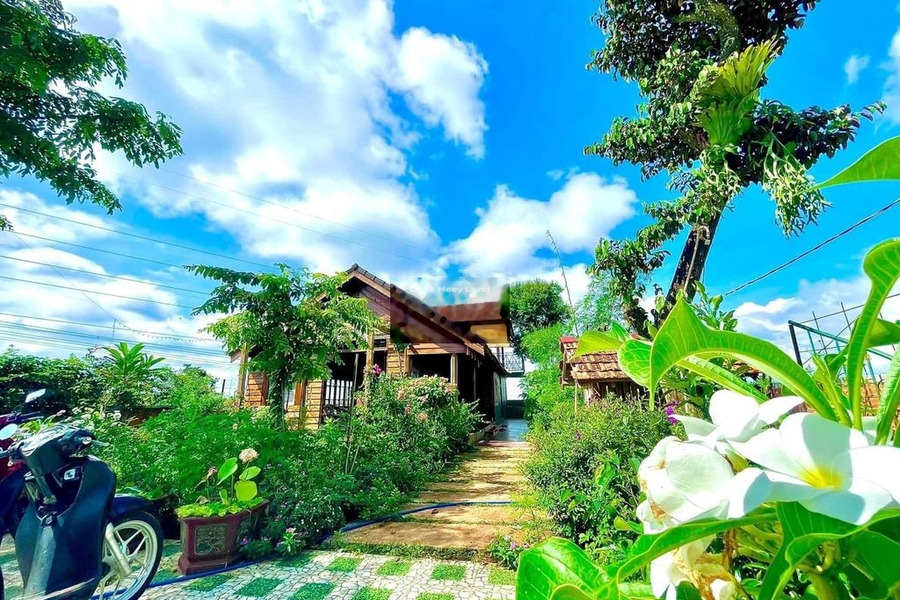 Vị trí nằm ở Cư Êbur, Buôn Ma Thuột, cho thuê nhà, giá thuê cực sốc 4 triệu/tháng có diện tích chính 455m2, nhà này gồm 1 PN lh biết chi tiết-01