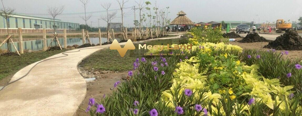 The Garden Nam Từ Liêm, Hà Nội bán đất giá bán siêu ưu đãi từ 1 tỷ, hướng Đông Nam có dt chung 80 m2-03