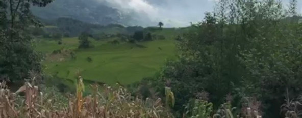 Mảnh đất Sa Pa 2 săn mây view thung lũng cực đẹp Mò Phú Chải, Y Tý-03