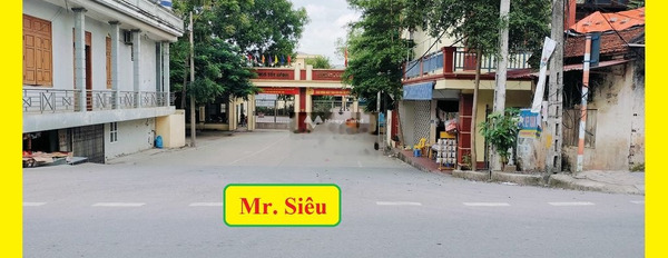 Tốt Động, Tốt Động bán đất giá bán chốt nhanh chỉ 4 tỷ có một diện tích là 94m2-03