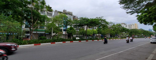 Vị trí thuận lợi tọa lạc tại Đống Đa, Hà Nội bán nhà bán ngay với giá khởi đầu chỉ 65 tỷ-03