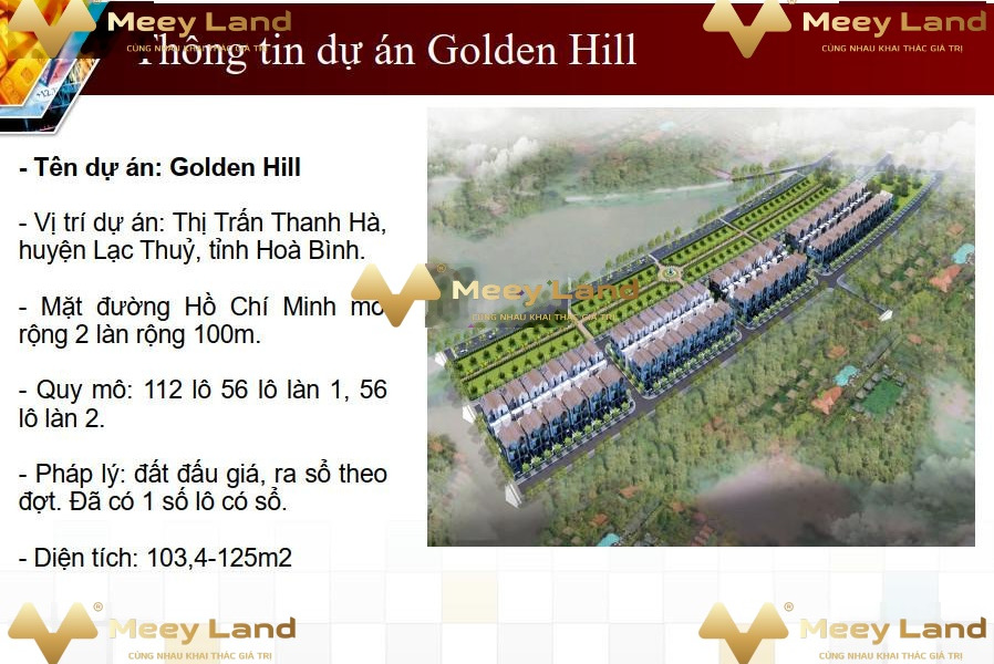 Đang cần tiền bán đất Hồ Chí Minh, Lạc Thủy giá bán hợp lý 927 triệu diện tích 103 m2-01