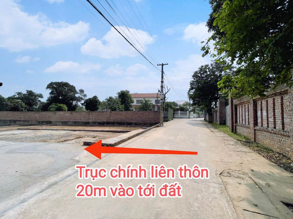 Bán đất huyện Sóc Sơn thành phố Hà Nội giá 800.0 triệu-2