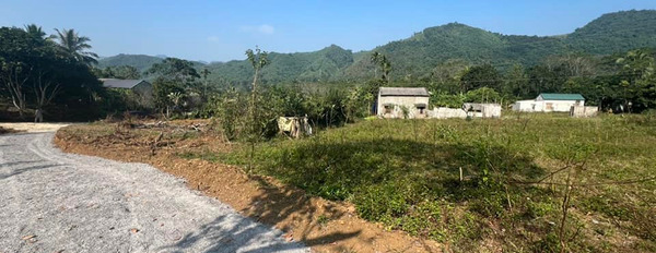 Cần bán đất huyện Như Xuân diện tích 120,5m2-03