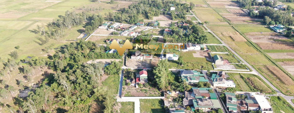 Vị trí đẹp tọa lạc ngay Huyện Nghi Lộc, Tỉnh Nghệ An bán đất dt tiêu chuẩn 125 m2-03