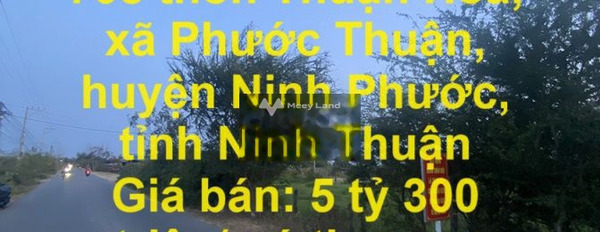 Bán lô đất mặt tiền tỉnh lộ 708 tại huyện Ninh Phước, tỉnh Ninh Thuận -03