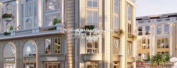 Bán nhà bán ngay với giá hữu nghị 7 tỷ có diện tích 90m2 vị trí mặt tiền tọa lạc ngay Trần Quang Diệu, Bình Định-02