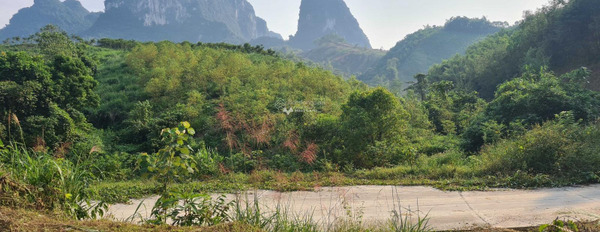 Bận kinh doanh cần bán mảnh đất, 27000m2 giá bàn giao 3 tỷ tại Cao Sơn, Hòa Bình khu vực đông đúc-03