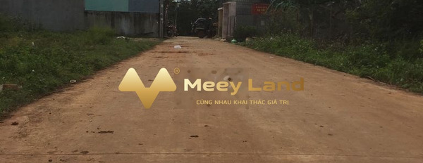 Giá giao lưu chỉ 1.3 tỷ, Bán đất có dt tổng là 120m2 vị trí đặt vị trí nằm tại Đường Nguyễn Tri Phương, Tỉnh Đắk Lắk nói không với trung gian-02