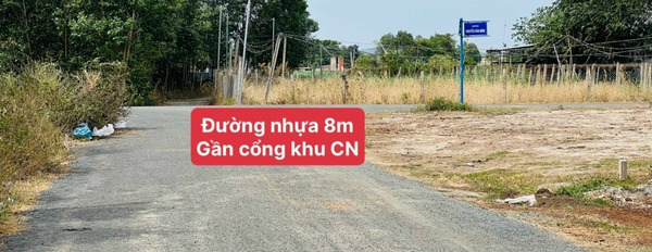 Bán đất mặt tiền Đường Nguyễn Bảo Hoá, Thị trấn Đất Đỏ, Bà Rịa Vũng Tàu-02