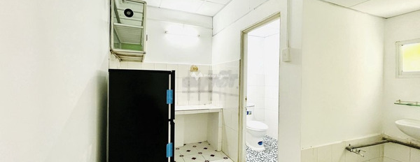 Căn hộ 1 phòng ngủ, cho thuê căn hộ vị trí tốt tại Quận 1, Hồ Chí Minh, tổng quan căn này gồm có 1 PN, 1 WC giá tốt-02