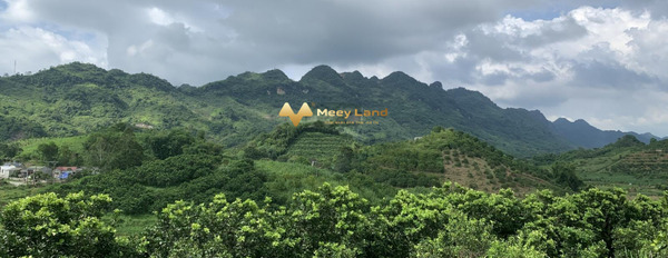 Thu Phong, Hòa Bình 125.64 tỷ bán đất có diện tích chung 5235 m2-03