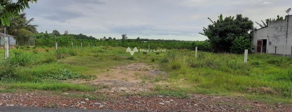 Tại Tây Ninh, Tây Ninh bán đất 480 triệu diện tích khoảng là 240m2-03