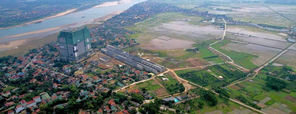 Thanh Thủy, Phú Thọ 11 tỷ bán đất với diện tích khoảng 300m2-03