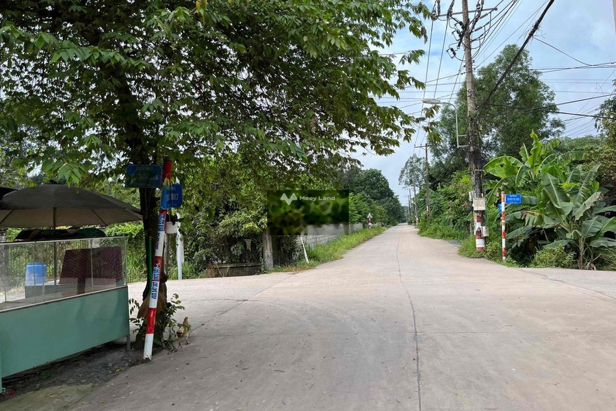 Phía trong Nguyễn Thị Chiên, Hồ Chí Minh bán đất, giá hiện tại chỉ 1.5 tỷ có diện tích là 100m2-01