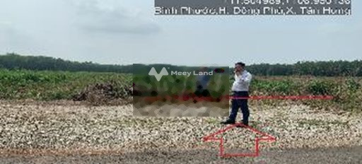 Tân Hưng, Bình Phước 880 triệu bán đất diện tích quy ước 913m2-03
