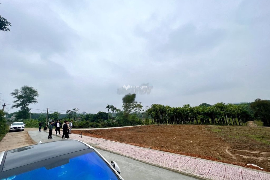 Triệu Sơn, Thanh Hóa bán đất giá khởi đầu từ 410 triệu diện tích trong khoảng 1155m2-01