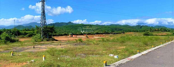 399 triệu bán đất có diện tích sàn 75m2 mặt tiền tọa lạc tại Quốc Lộ 27C, Khánh Vĩnh, hướng Bắc-02