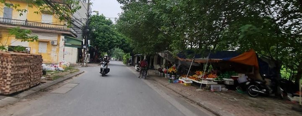 Bán đất quận Long Biên thành phố Hà Nội, giá 1 tỷ-03