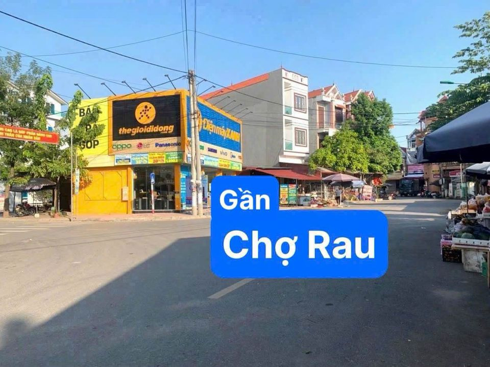 Bán đất huyện Yên Lạc tỉnh Vĩnh Phúc giá 2.2 tỷ-1