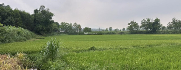 Gia đình cần bán mảnh đất 4808m2 tại Khánh Thượng - Ba Vì - Hà Nội -02