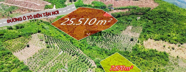 25.000m2 đất Diên Lâm, Diên Khánh giá chỉ 300 triệu đồng sổ hồng riêng -03