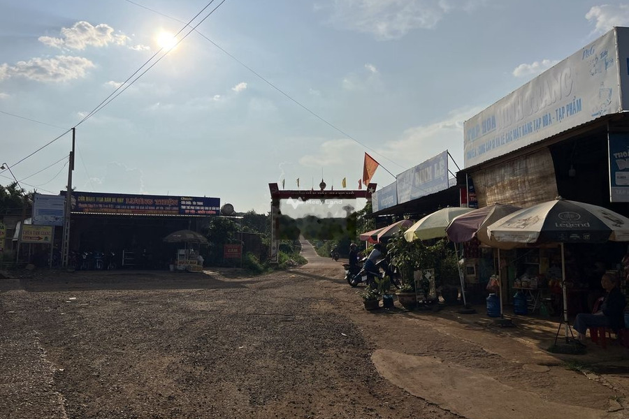 Vị trí đẹp tại Krông Năng, Đắk Lắk bán đất giá hạt dẻ 720 triệu diện tích chính là 7738m2-01