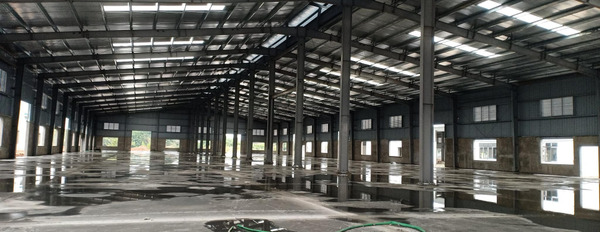 Cho thuê kho khu công nghiệp Đài Tư, Long Biên, diện tích 1000m2-03