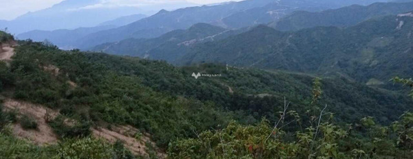 Ngay Tà Mít, Lai Châu bán đất 13.44 tỷ diện tích chung 2400000m2-02