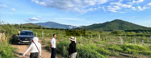 Ninh Hòa, Khánh Hòa bán đất giá bán siêu mềm từ 268 triệu, hướng Đông Bắc diện tích chuẩn 1000m2-03