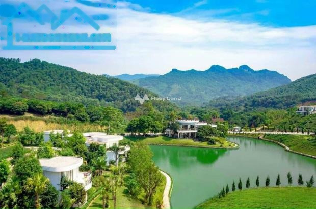 Bán biệt thự vị trí đẹp tại Quốc Lộ 6, Lâm Sơn giá bán chỉ 7.8 tỷ diện tích rộng 310m2-01