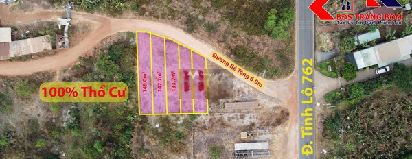 Vị trí mặt tiền gần Trảng Bom, Trảng Bom bán đất giá đề xuất chỉ 700 triệu diện tích tiêu chuẩn 149m2-03