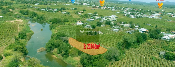 Bán đất 1.8 tỷ Tân Thuận, Bình Thuận với tổng diện tích 2034m2-03