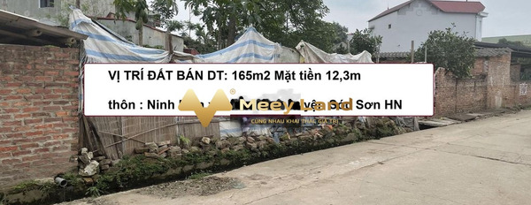 Ở Đường Quốc Lộ 35, Xã Hiền Ninh bán đất 1.32 tỷ có dt là 165 m2-02