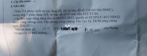 Vị trí thuận lợi tọa lạc ngay Bình Chánh, Hồ Chí Minh bán đất, giá bán sang tên chỉ 11.5 tỷ có diện tích chung 1000m2-02