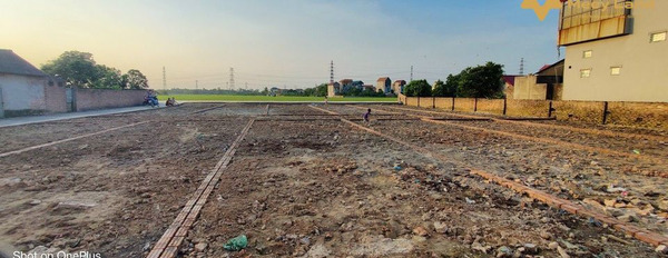 Chính chủ cần bán lô đất tiềm năng tại huyện Kim Thành, Hải Dương-03