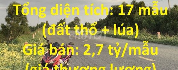 Giá bán đề cử từ 45 tỷ, Bán đất với diện tích thực 170000m2 vị trí đặt gần Tân Lập, Long An thích hợp kinh doanh-02