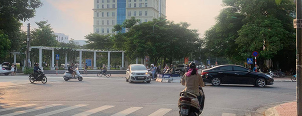 Bán nhà cấp 4, ô tô tránh phố Hồng Tiến - Long Biên, 146m2, mặt tiền 7m, gần Bệnh viện Tâm Anh-03
