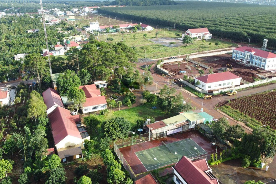 Phú Lộc, Krông Năng 550 triệu bán đất diện tích rộng lớn 132m2-01