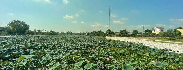Bán đất tại Bình Yên, Hà Nội. Diện tích 102m2-03