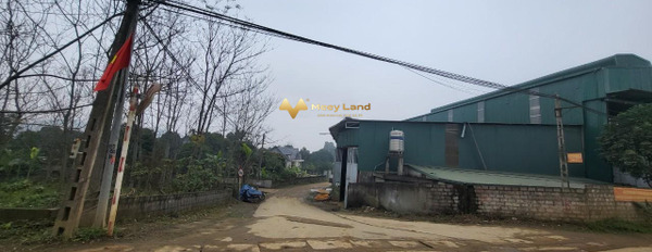 Quốc Oai, Hà Nội bán đất giá bán đề xuất từ 3.26 tỷ diện tích như sau 272m2-02